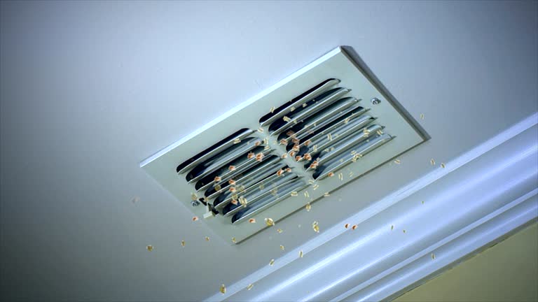 Reliable Church Point, LA Airduct Cleaning Solutions