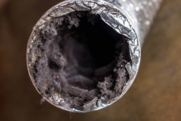 Best Duct Cleaning for Homes  in Church Point, LA